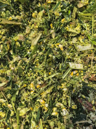 Hvilke kernestyrker gør Yiman Agriculture til din ideelle leverandør til bulkimportprojekter for syltet kål?