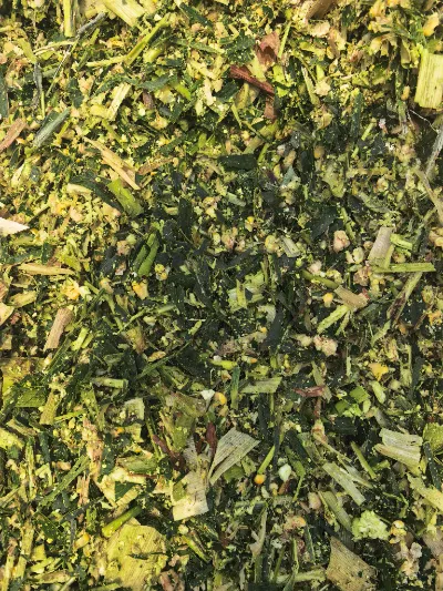 Med vejrbegivenheder med høj luftfugtighed, der ofte forekommer over hele kloden, hvordan kan frisk majsensilage af høj kvalitet produceres til forhold med høj luftfugtighed ved hjælp af videnskabelige processer?