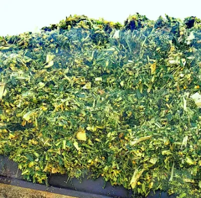 Hvordan øger højkvalitets majsensilage blandet foder husdyrbrugs fortjenestemarginer?