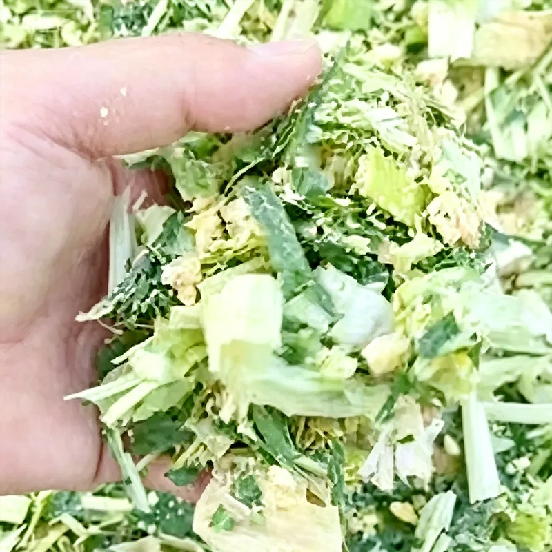 Kødkvæg Opfedning Majsensilage