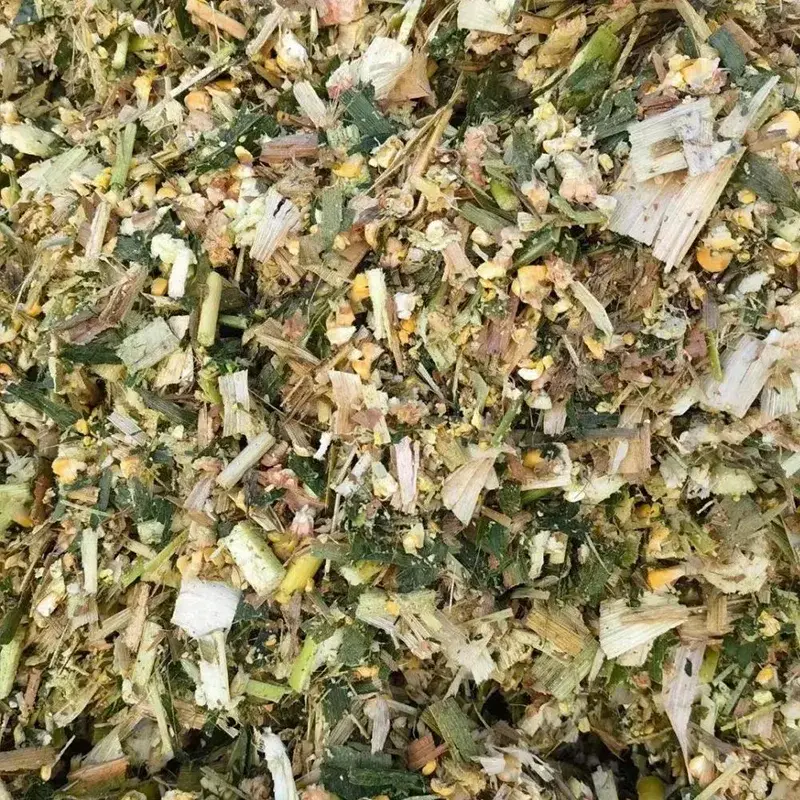Diegivning Malkeko Majsensilage