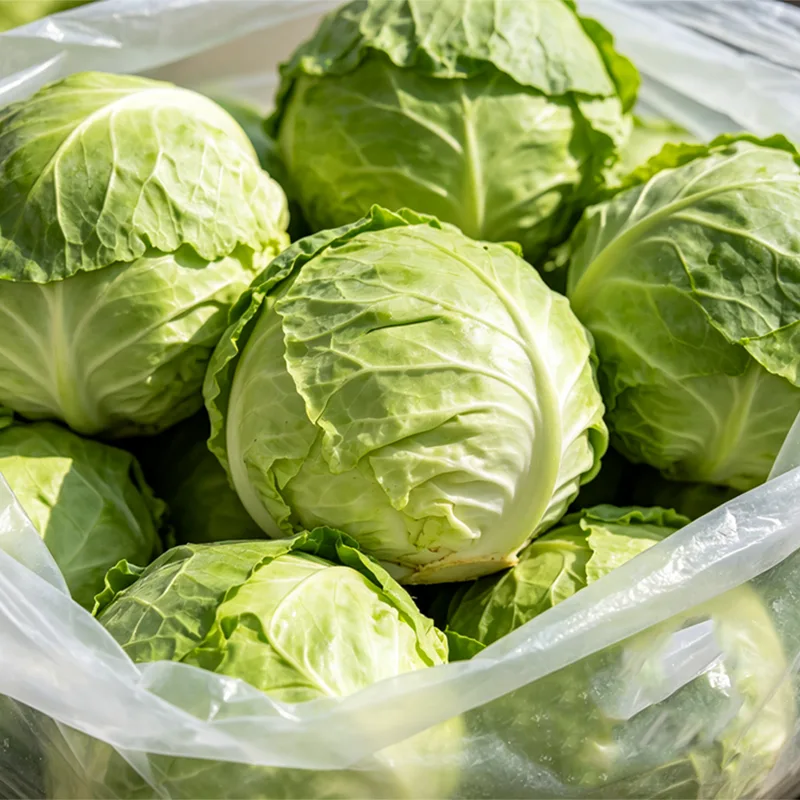 Netpose pakket rundkål