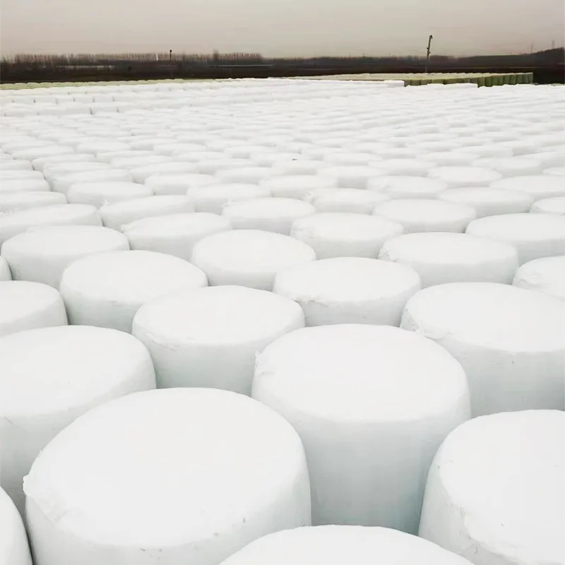 Rundballe Hel Plant Majsensilage