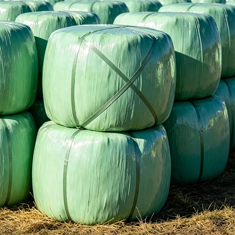 UV-beskyttet majsensilage